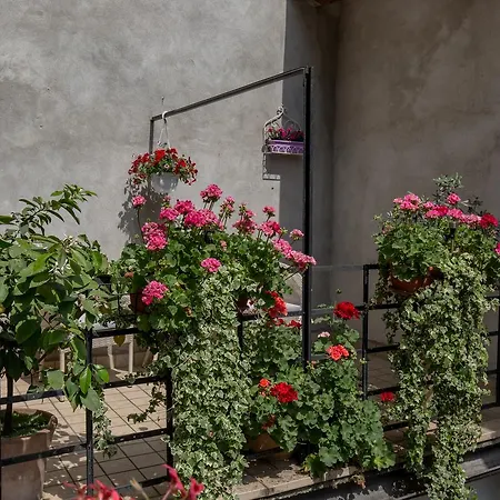 Veronetta House بيت ضيافة